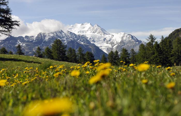 10 เหตุผลที่คุณควรไปเที่ยวสวิตเซอร์แลนด์สักครั้งในชีวิต