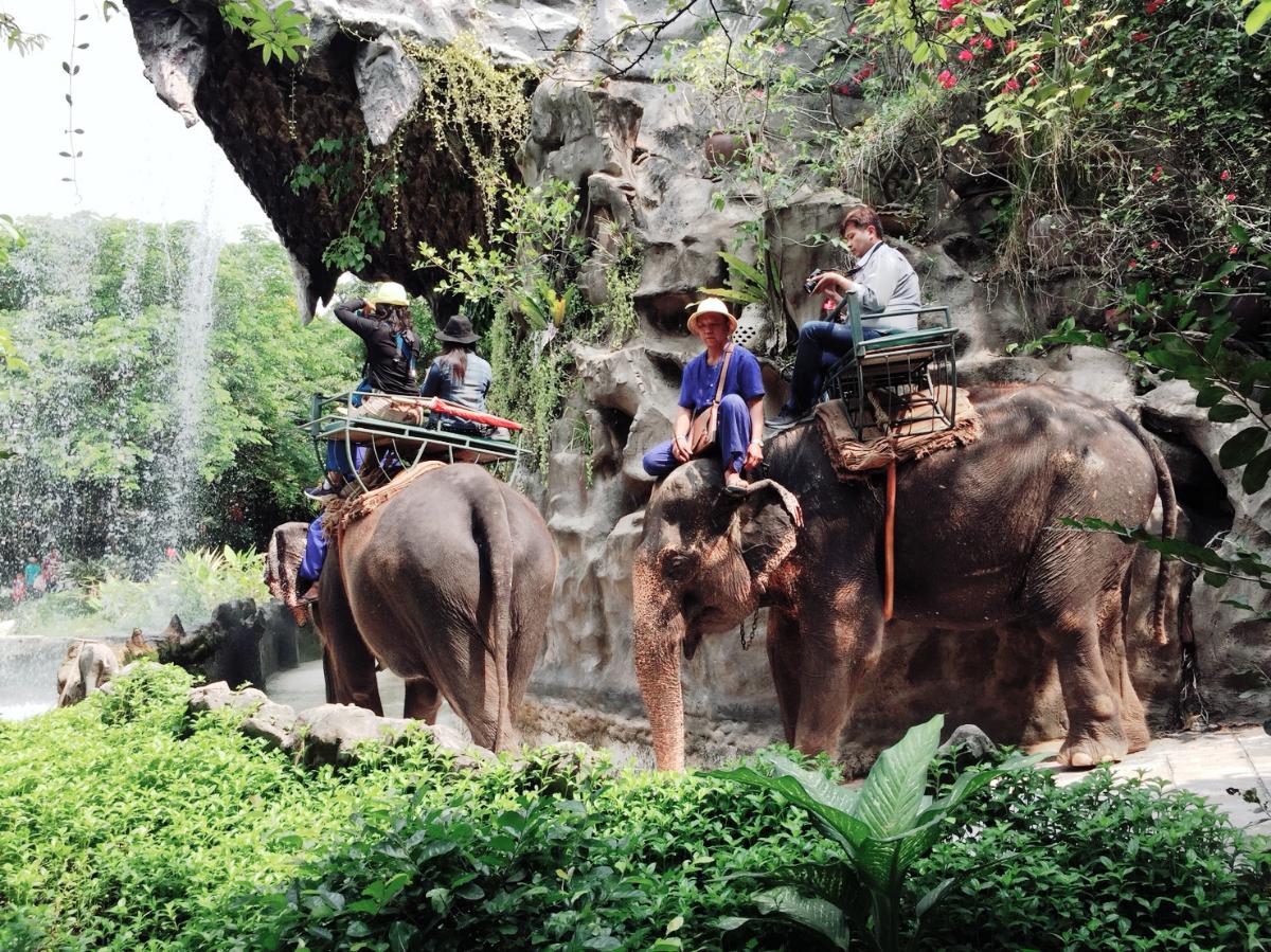 เที่ยวสนุกแสนฟินลานแสดงช้างและฟาร์มจระเข้สามพราน