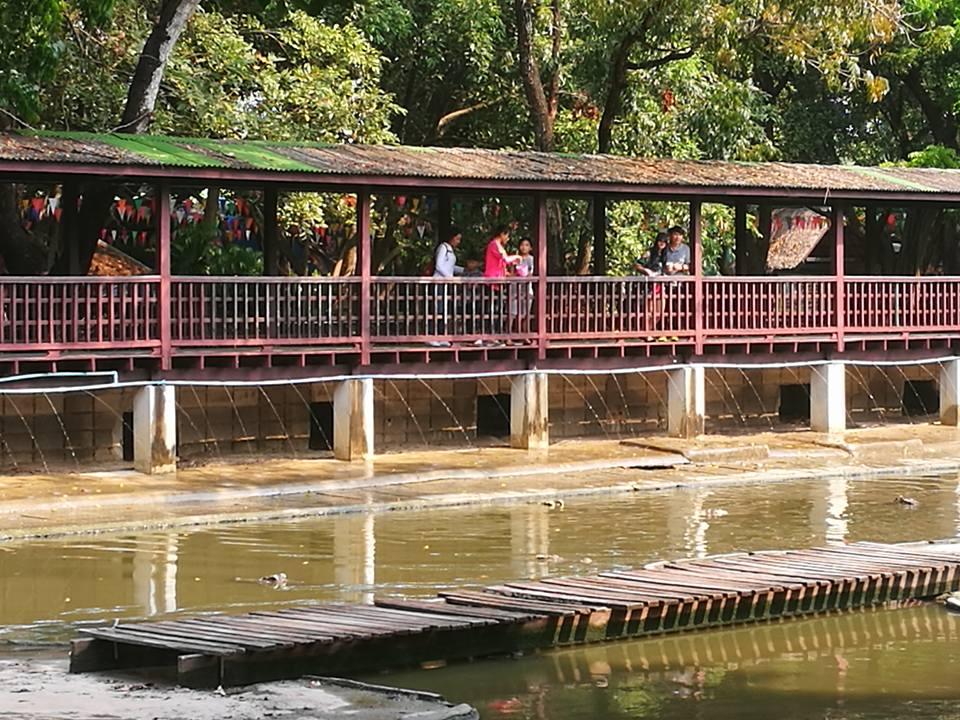 เที่ยวสนุกแสนฟินลานแสดงช้างและฟาร์มจระเข้สามพราน