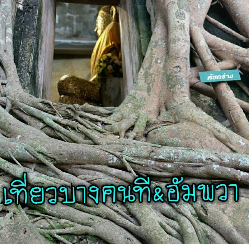 ไปฟินใกล้กรุงที่บางคนที-อัมพวา