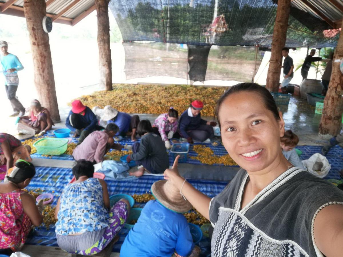 SCG ชวนช้อปช่วยชุมชนชวนชิมสมุนไพรพื้นบ้านเพิ่มคุณค่าเป็น”กระบกเคลือบคาราเมล”
