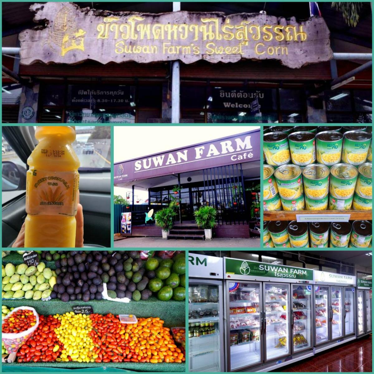 Plug in Green Journey สนุกหรรษาที่โรงไฟฟ้าลำตะคองชลภาวัฒนา
